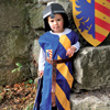 Costume chevalier - Tabard Lancelot