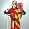 Costume chevalier - Tabard Lancelot
